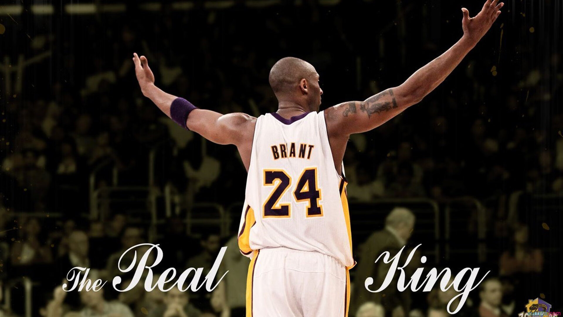 球场故事：一线工作人员眼中的NBA盛事，nba各种经典合集在一个球场